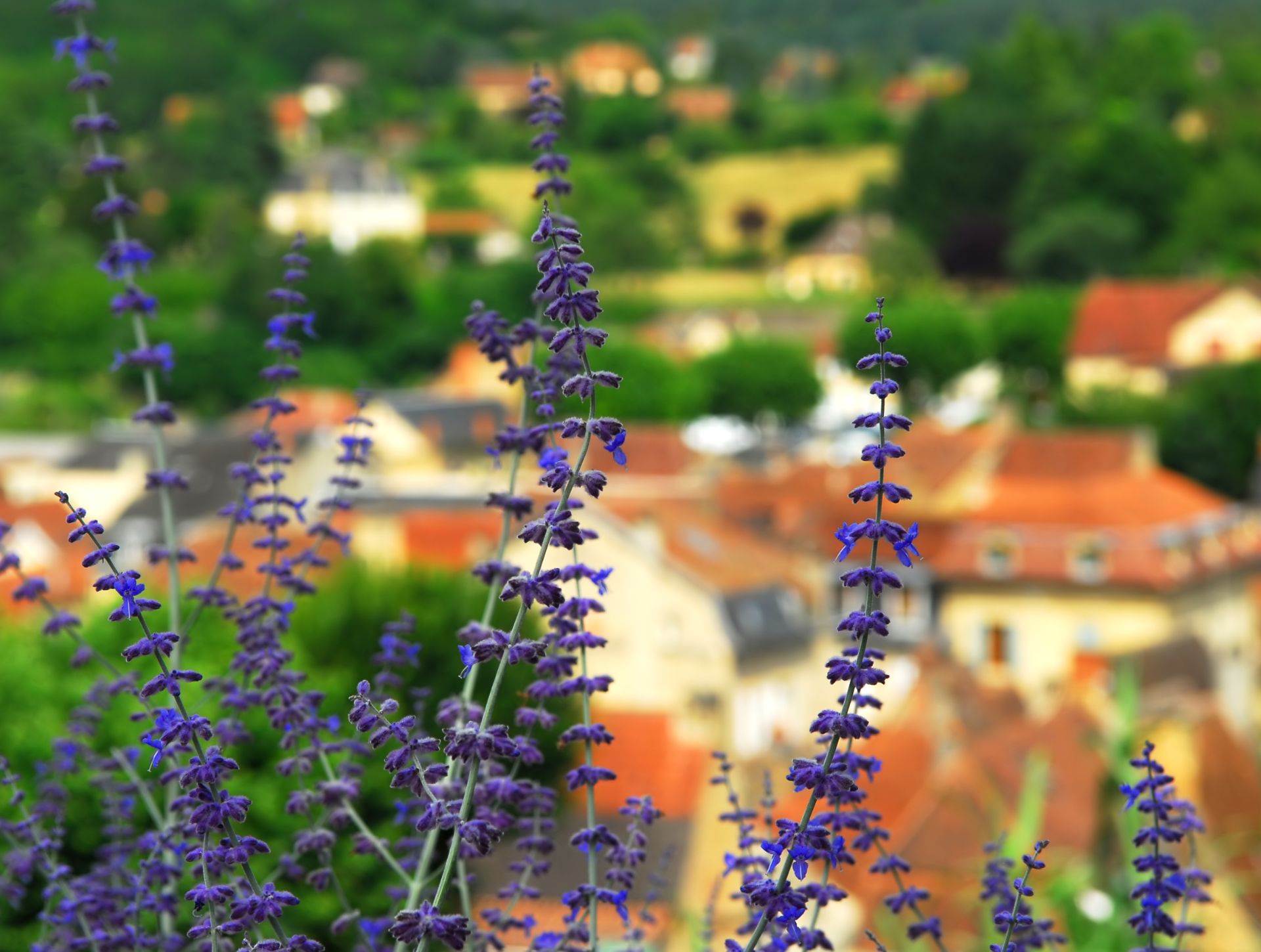 contact et access camping les chalets de la noyeraie